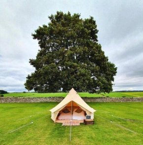 Brookfield Camping and Glamping